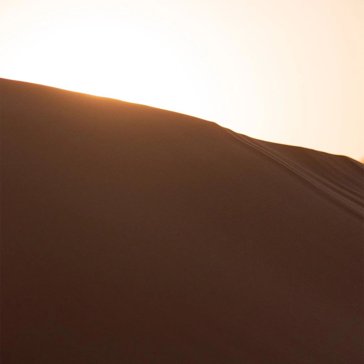 Pink Dune